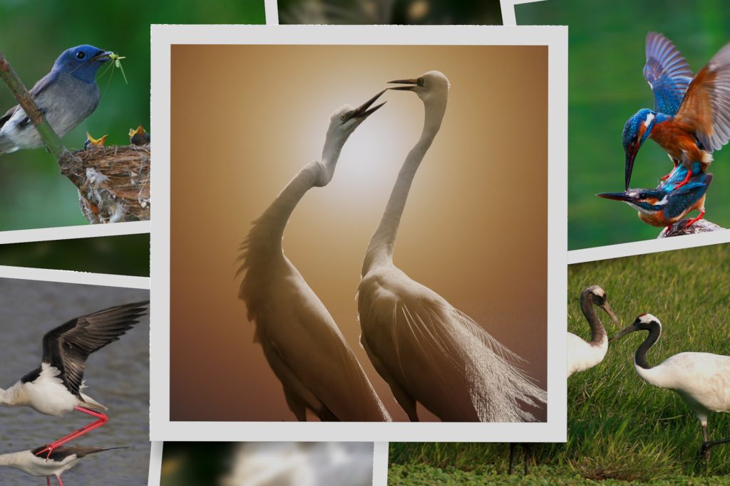 白內障手術,信賴眼科,攝影集